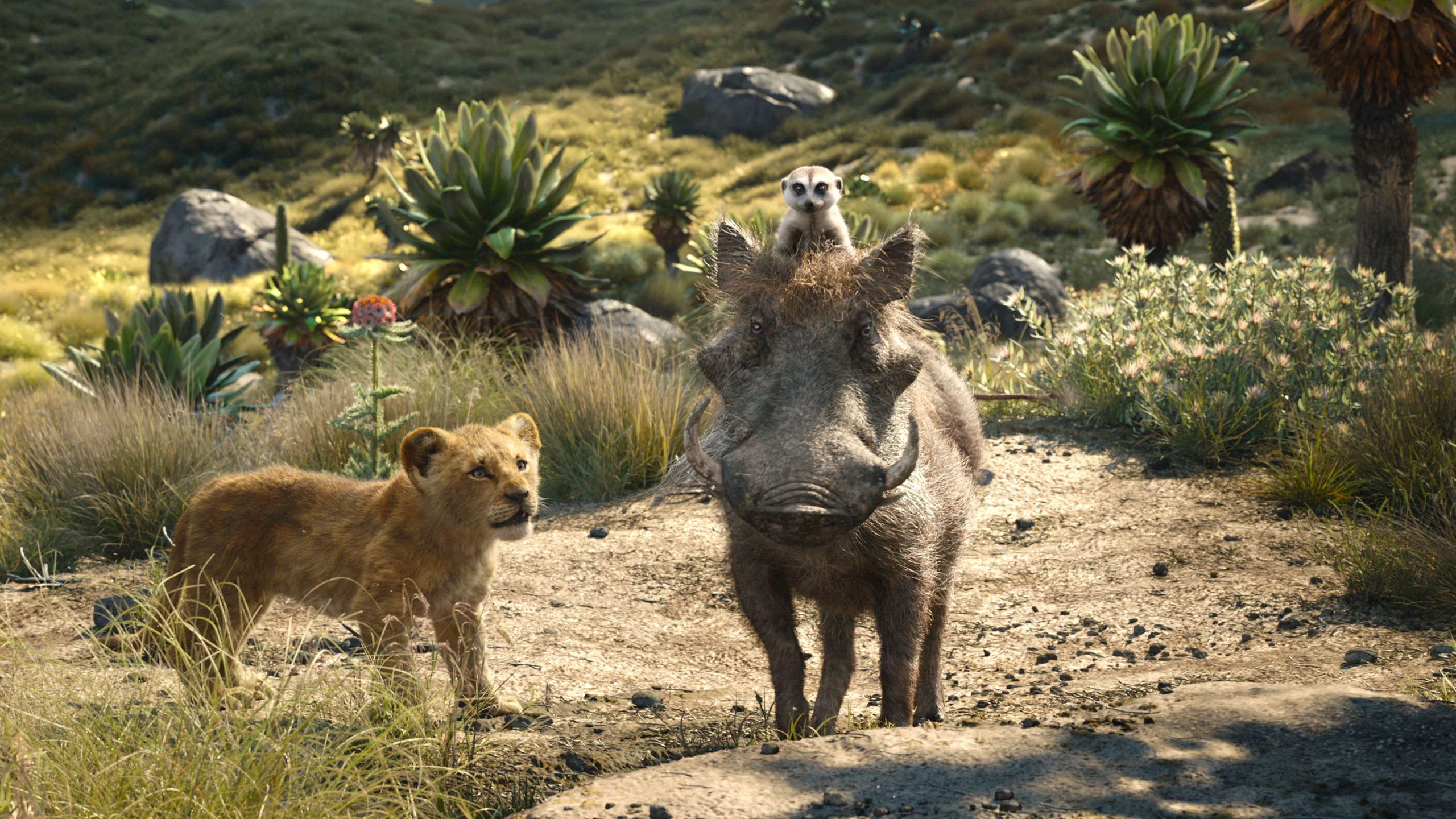 Produktbild 9